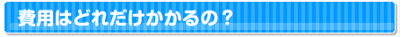 費用はどれだけかかるの?