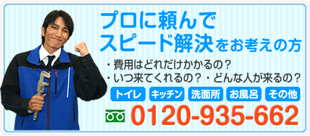 プロに頼んでスピード解決をお考えの方